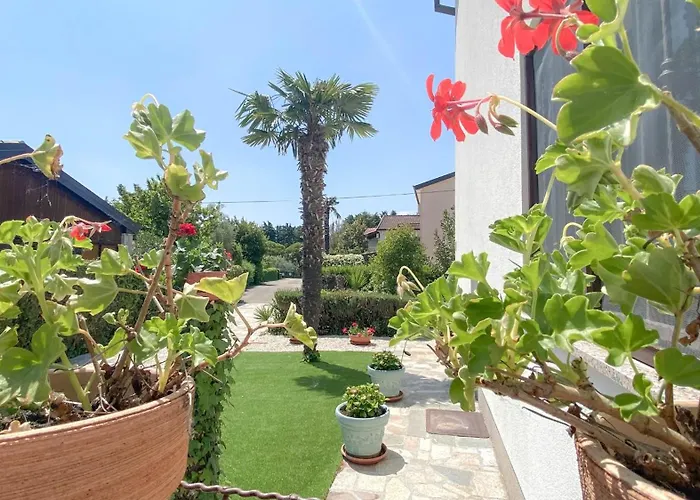 Marina No. 4 Apartmán Novigrad Istria